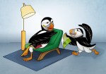 Puffins illustration illustracion Frailecillos