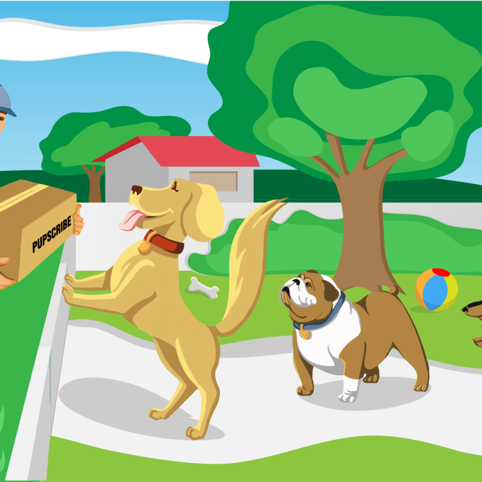 Pet Illustration vector