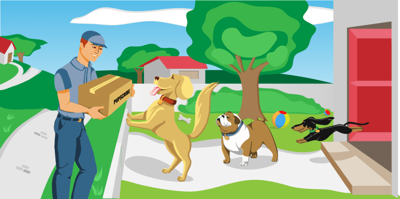 Header for the website