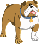 Pet Illustration vector