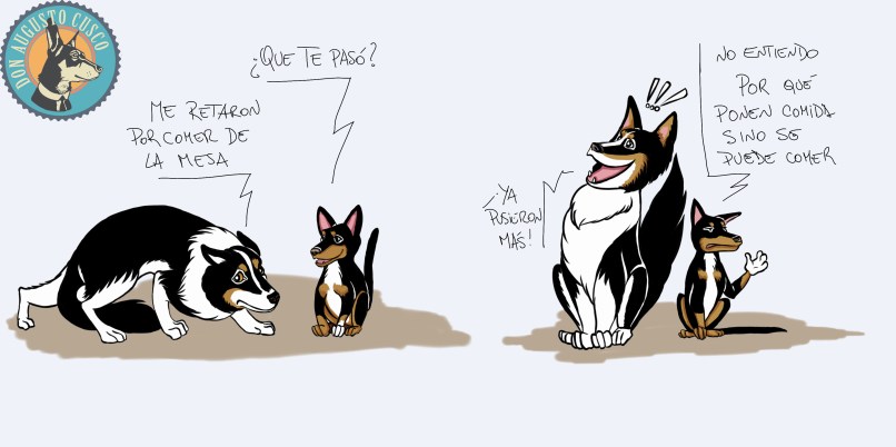 *-"What happenes to you?" -"I was yelled at for eating of the table" *-"Why do they even put food out if it's not for eating?" -"They refilled already!"
